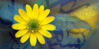 سائل دلنوشته شعر نثر